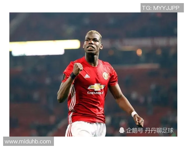 杭州羽毛球队防反战术解析与热点动态深度剖析