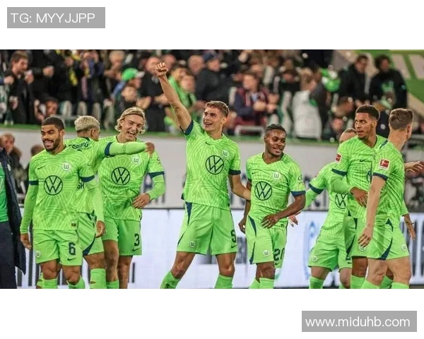 沃尔夫斯堡出色,德甲冠军悬念大增 沃尔夫斯堡出色,德甲冠军悬念大增